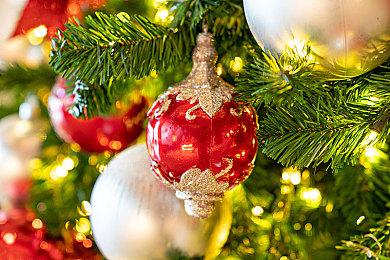 休闲游戏《爆炸猫2》Steam页面上线 发售日期待定